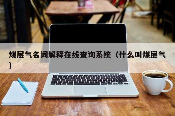 煤层气名词解释在线查询系统（什么叫煤层气）  第1张