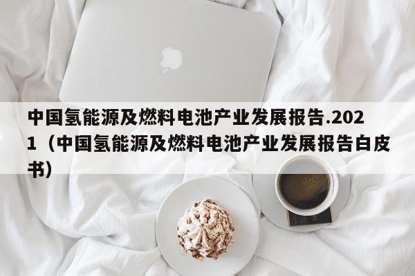中国氢能源及燃料电池产业发展报告.2021（中国氢能源及燃料电池产业发展报告白皮书）  第1张