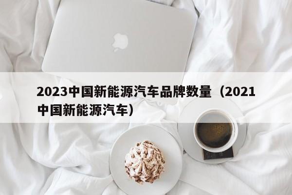 2023中国新能源汽车品牌数量（2021中国新能源汽车）  第1张