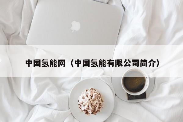 中国氢能网（中国氢能有限公司简介）  第1张
