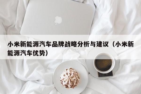 小米新能源汽车品牌战略分析与建议（小米新能源汽车优势）  第1张