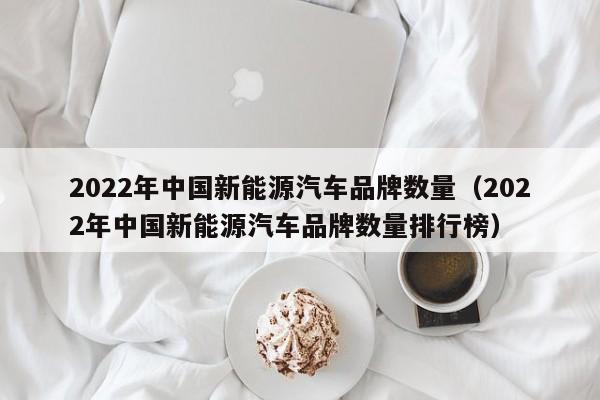 2022年中国新能源汽车品牌数量（2022年中国新能源汽车品牌数量排行榜）  第1张