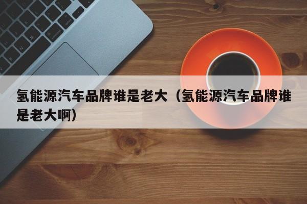 氢能源汽车品牌谁是老大（氢能源汽车品牌谁是老大啊）  第1张