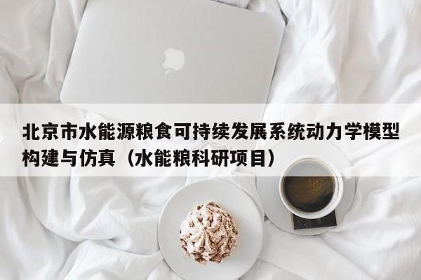 北京市水能源粮食可持续发展系统动力学模型构建与仿真（水能粮科研项目）  第1张