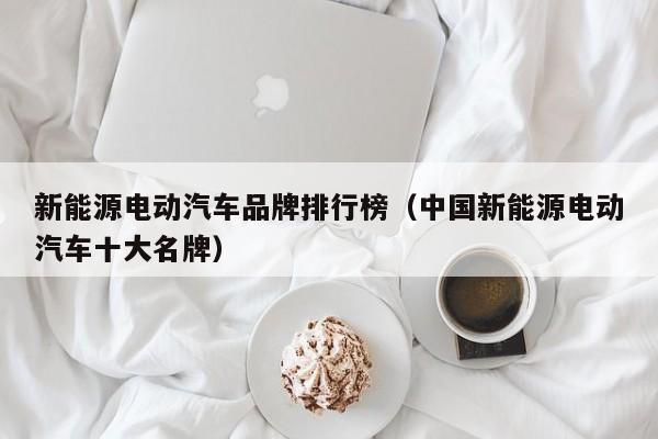 新能源电动汽车品牌排行榜（中国新能源电动汽车十大名牌）  第1张