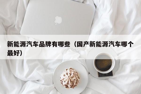 新能源汽车品牌有哪些（国产新能源汽车哪个最好）  第1张