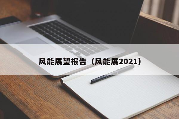 风能展望报告（风能展2021）  第1张
