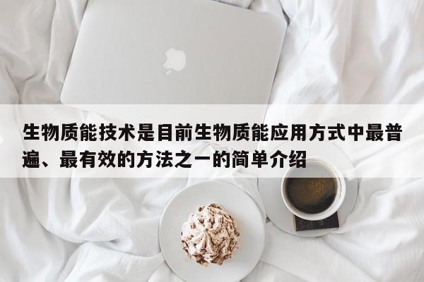 生物质能技术是目前生物质能应用方式中最普遍、最有效的方法之一的简单介绍  第1张