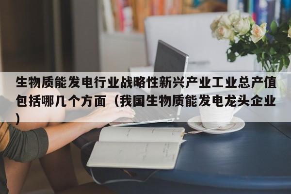 生物质能发电行业战略性新兴产业工业总产值包括哪几个方面（我国生物质能发电龙头企业）  第1张