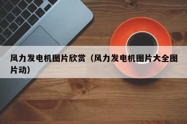 风力发电机图片欣赏（风力发电机图片大全图片动）  第1张