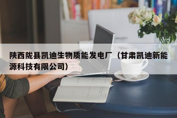陕西陇县凯迪生物质能发电厂（甘肃凯迪新能源科技有限公司）  第1张