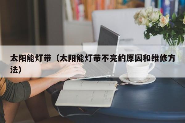 太阳能灯带（太阳能灯带不亮的原因和维修方法）  第1张