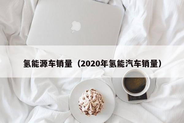 氢能源车销量（2020年氢能汽车销量）  第1张