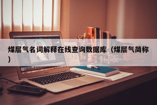 煤层气名词解释在线查询数据库（煤层气简称）  第1张