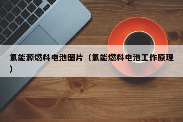 氢能源燃料电池图片（氢能燃料电池工作原理）  第1张