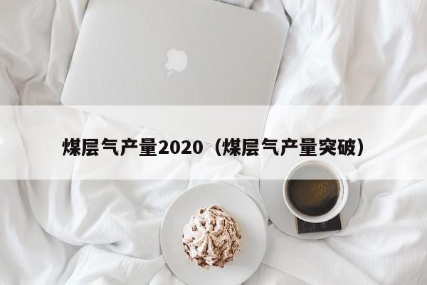 煤层气产量2020（煤层气产量突破）  第1张