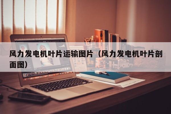 风力发电机叶片运输图片（风力发电机叶片剖面图）  第1张