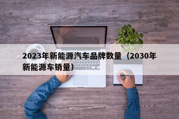 2023年新能源汽车品牌数量（2030年新能源车销量）  第1张