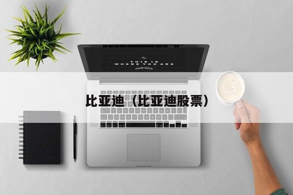 比亚迪（比亚迪股票）  第1张