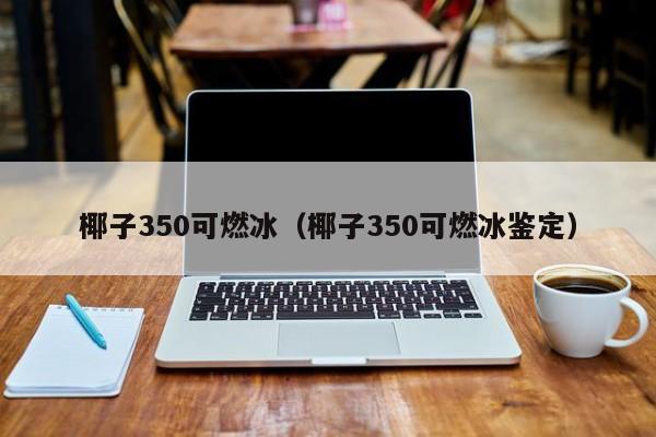 椰子350可燃冰（椰子350可燃冰鉴定）  第1张