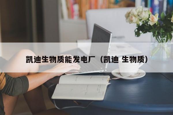 凯迪生物质能发电厂（凯迪 生物质）  第1张