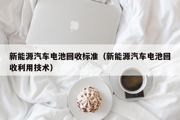 新能源汽车电池回收标准（新能源汽车电池回收利用技术）  第1张