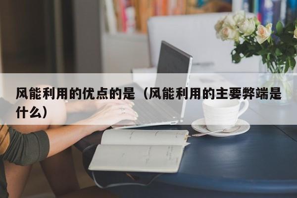 风能利用的优点的是（风能利用的主要弊端是什么）  第1张