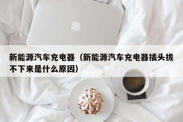新能源汽车充电器（新能源汽车充电器插头拔不下来是什么原因）  第1张