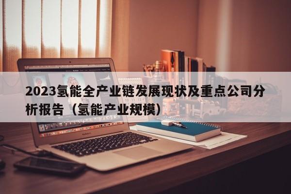 2023氢能全产业链发展现状及重点公司分析报告（氢能产业规模）  第1张