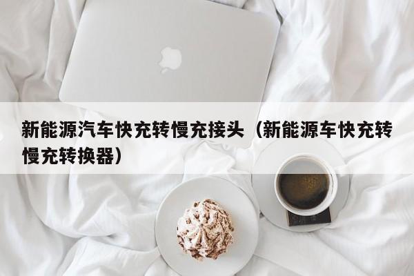 新能源汽车快充转慢充接头（新能源车快充转慢充转换器）  第1张