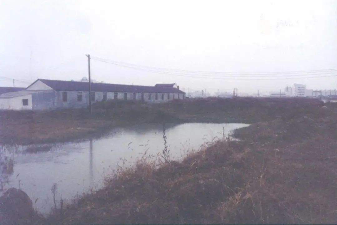 小米是爽剧，奇瑞是年代剧  第10张