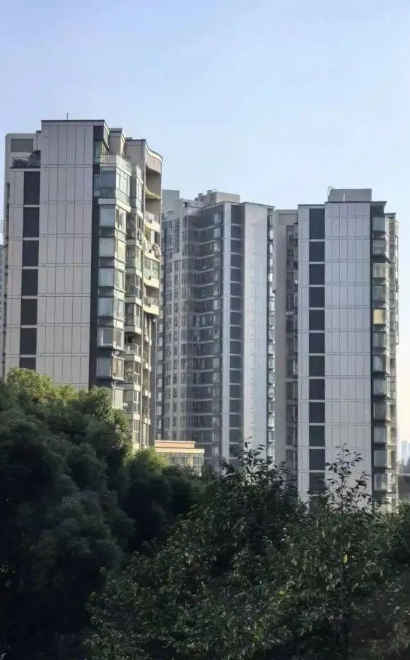 开发商只管挖坑不管埋，南京神盘业主竟自筹4000万“整容”  第9张