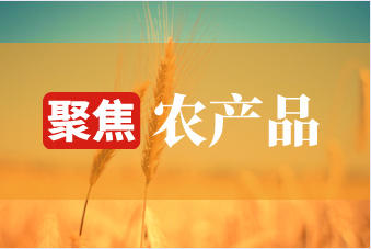 如何看待农产品期货价格变动?价格变动对市场有什么影响? 第1张 如何看待农产品期货价格变动?价格变动对市场有什么影响? 第1张