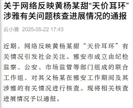 黄杨某甜父亲被立案调查！官方通报“天价耳环”有关情况  第1张