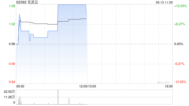 玄武云午前涨超12% 公司月内连续回购股份  第1张