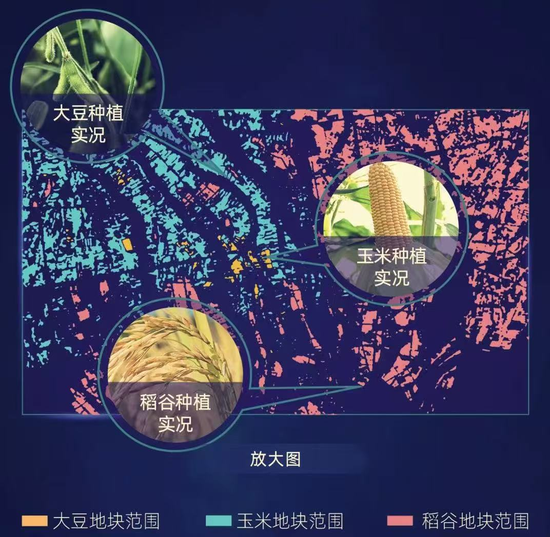 无声的灌溉：小微金融里的韧性中国  第3张