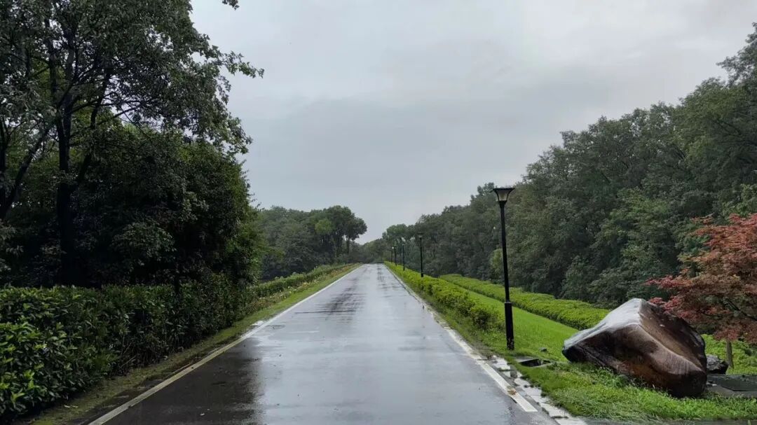 立案！光环下的清越科技，藏着多少“秘密”？  第1张