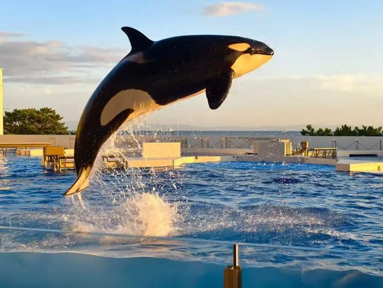 2025年Q3人身险行业偿付能力全景透视：九成险企承压背后  第1张