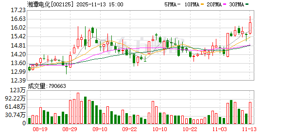 湘潭电化：选举职工董事  第1张