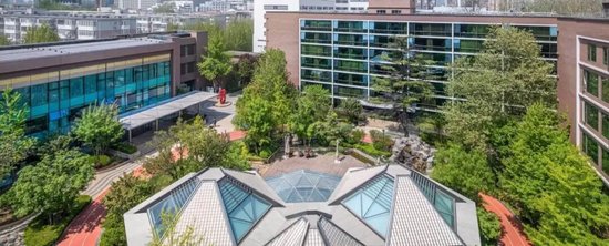 前任高管失联、书记换帅,大家保险陷入“反腐”泥潭 第1张 前任高管失联、书记换帅,大家保险陷入“反腐”泥潭 第1张