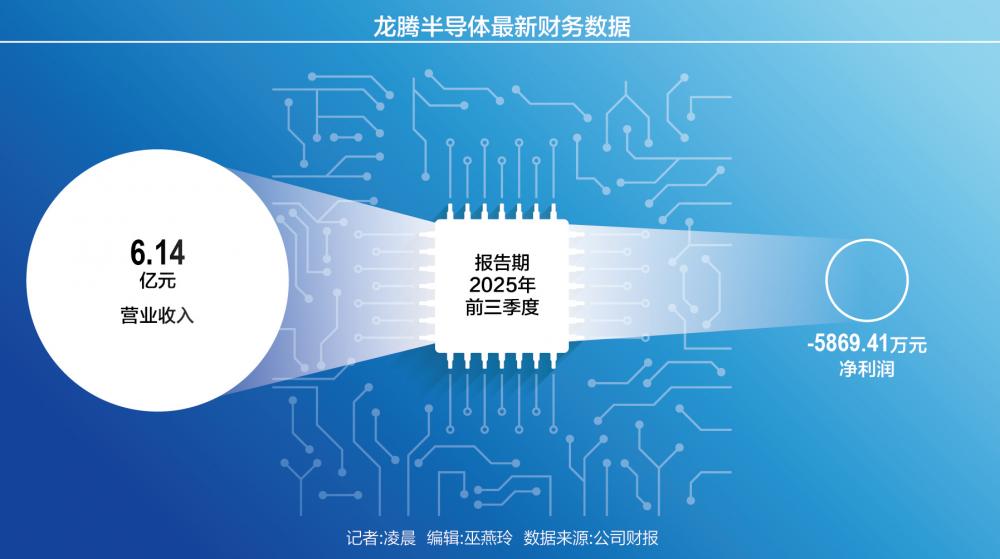 IPO折戟3年后，半导体新星“借壳”港股皮革商  第1张