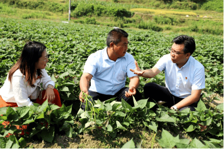 总保费迈上7000亿平台，中国人寿递交新时代为民答卷  第3张